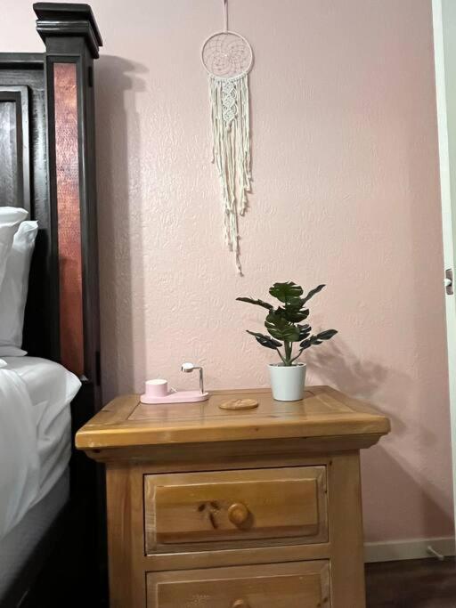 Healing Haven King Bed Suite 达拉斯 外观 照片